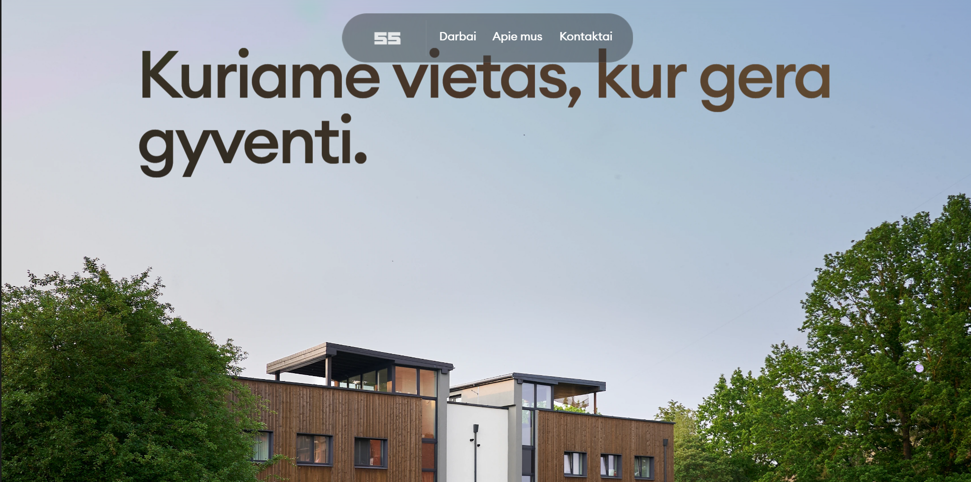 55 projektai svetainės dizainas